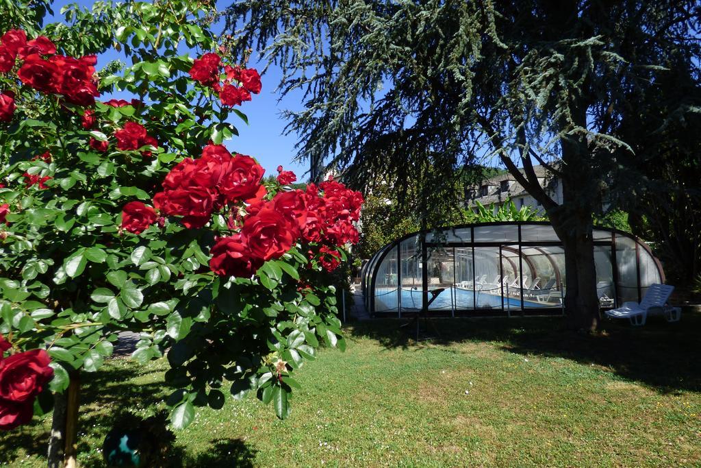 Hotel Du Lion D'Or Entraygues-sur-Truyère Kültér fotó