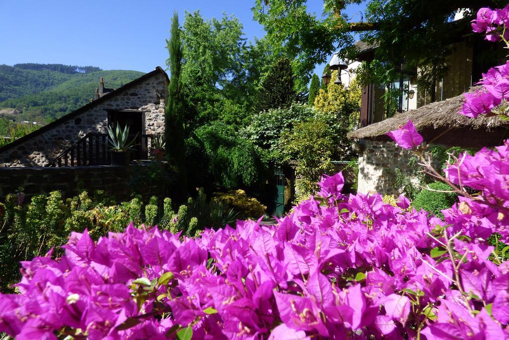 Hotel Du Lion D'Or Entraygues-sur-Truyère Kültér fotó