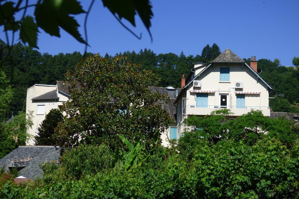 Hotel Du Lion D'Or Entraygues-sur-Truyère Kültér fotó