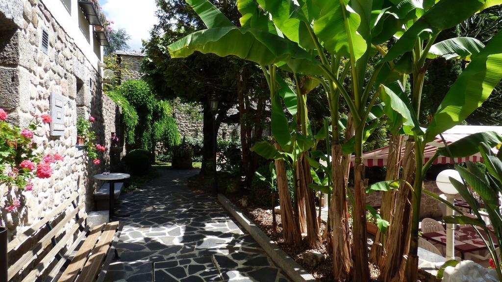 Hotel Du Lion D'Or Entraygues-sur-Truyère Kültér fotó